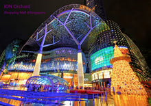 Load image into Gallery viewer, Casio G SHOCK x "ION ORCHARD" 10th Anniversary Collaboration by "JAHAN LOH" DW-5600MW