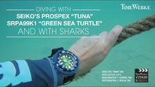 Load image into Gallery viewer, Seiko PROSPEX x "GREEN SEA TURTLE" Asia Exclusive Diver's Watch SRPA99K1