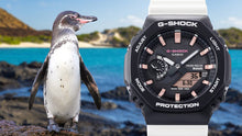 Load image into Gallery viewer, Casio G Shock 2024 Christams x Charles Darwin Foundation 3rd collaboration GA-B2100CD-1A7